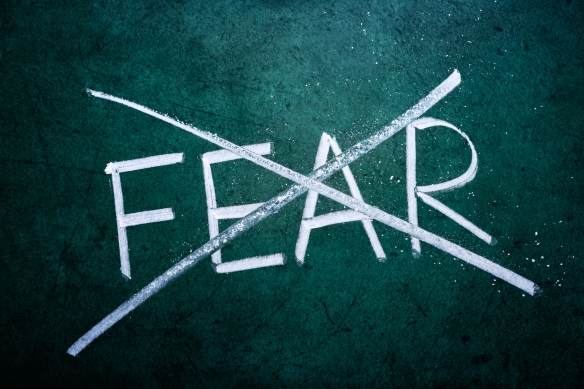 no-fear-year-image1.jpg